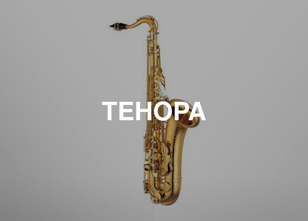 Тенора